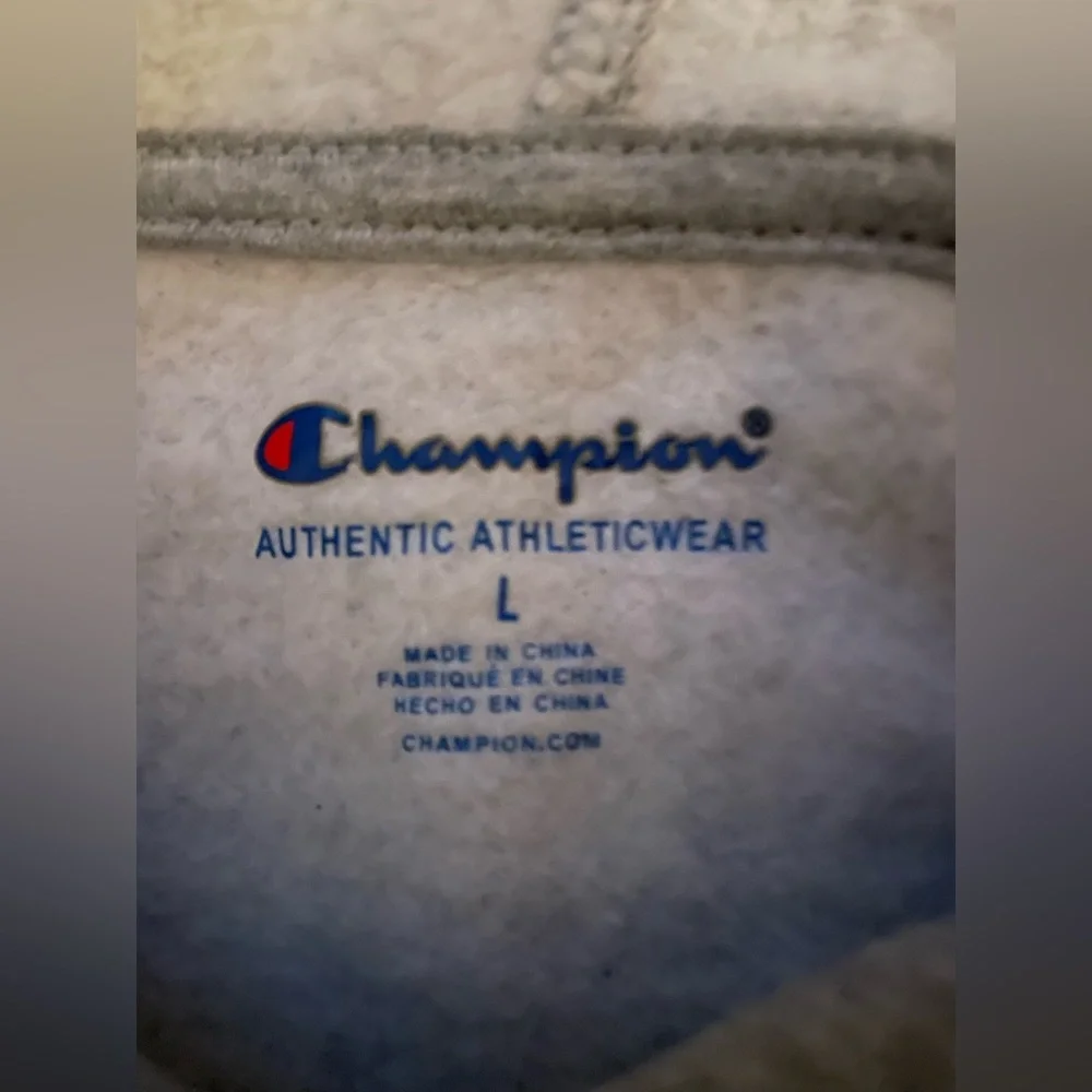 Champion colorblock embroidered